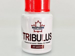 tribulus maxpharm