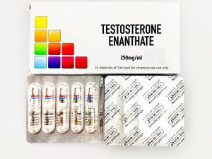estosterone Enanthate – 10 amp (250mg/amp)