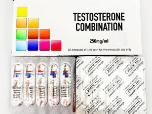 Testosterone Combination – 10 amp (250mg/amp)