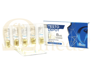 TestoDepot (Testosterone Enanthate) – 10amps (250mg/ml)